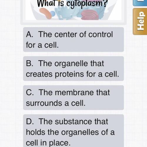 What is cylopasm?

A. The center of control for a cell.
B. The organelle that create protein for a