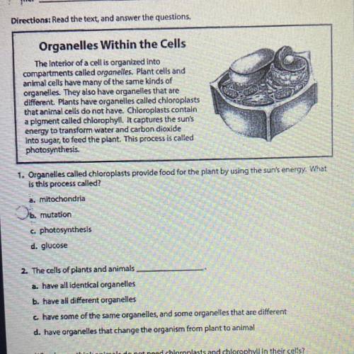 Organelles called chloroplasts provide food for the plant by using the sun's energy. What

Is this