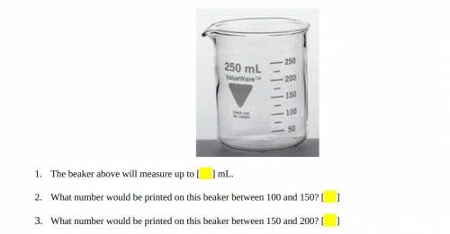 Plss help me :((

The beaker above will measure up to [ ] mL.
What number would be printed on this