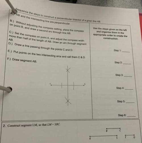 I need help on this question, geometry basics.