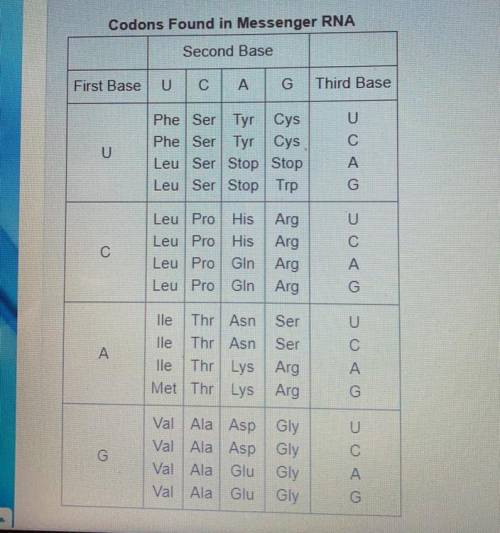This table shows the codons found in messenger RNA. Using this information, what sequence of nucleo