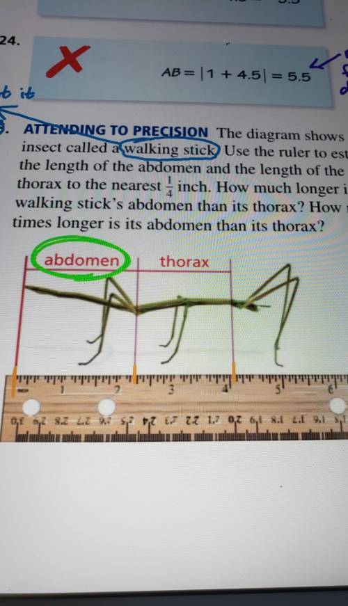 ATTENDING TO PRECISION The diagram shows an insect called a walking stick Use the ruler to estimate