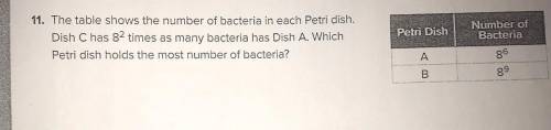 The table shows the number of bacteria in each Petri dish. Dish C has 8 ^ 2 times as many bacteria