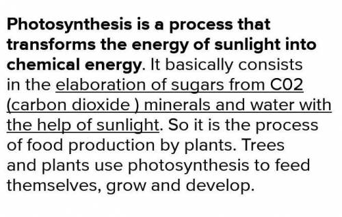 What is Photosynthesis???​