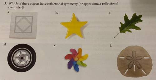 Which of these objects have reflectional symmetry (or approximate reflectional symmetry￼)