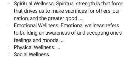 Define wellness. what are the four types of hewth that relate to wellness.​