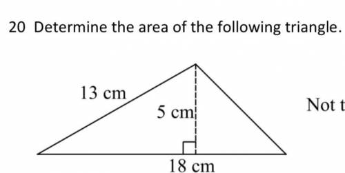 Hello everyone I have figured out the answer of the area of the triangle. I just want to have a few