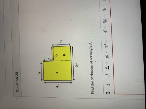 Find the perimeter for rectangle a