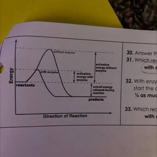 Which reaction happens faster A. with enzymes or B. without enzymes
