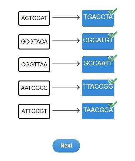 Match the nitrogenous base of DNA with its complement.
TAACGCA