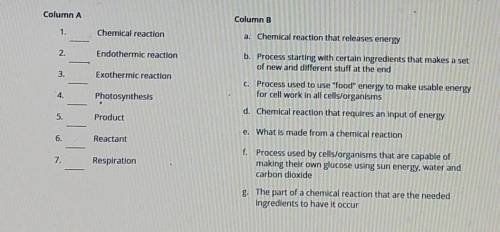 a. Chemical reaction that releases energy 1. Chemical reaction 2. Endothermic reaction b. Process s