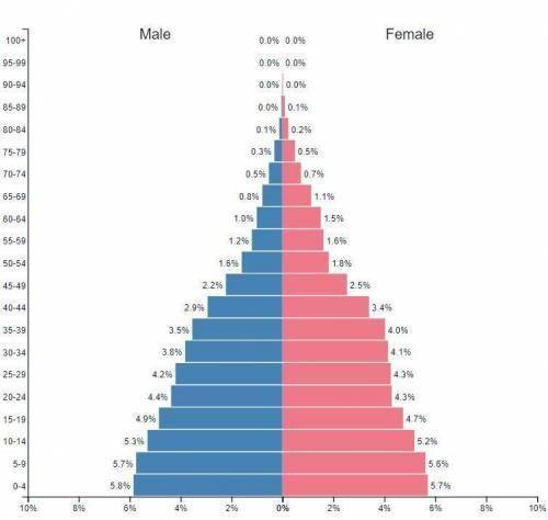 Think critically about the information in your profile and population pyramid. What does this infor