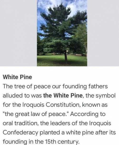 What was the Great Tree of Peace and what did it symbolize?