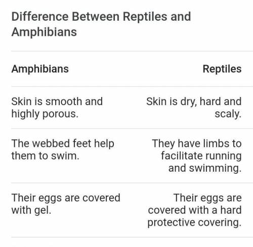 Help me please amphibians and reptiles difference between ​
