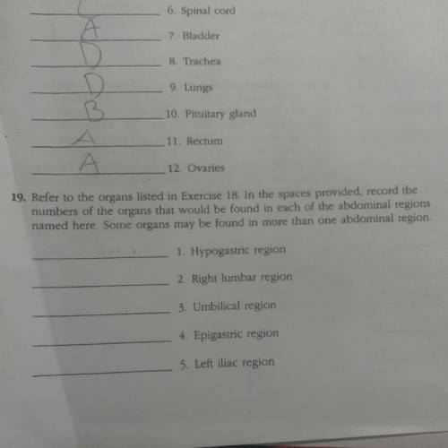 Number 19, i need help with it, now please