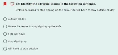 12) Identify the adverbial clause in the following sentence.

Unless he learns to stop ripping up