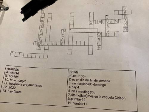 Hey everyone can someone help me with this Spanish crossword puzzle? Please give me answers to the
