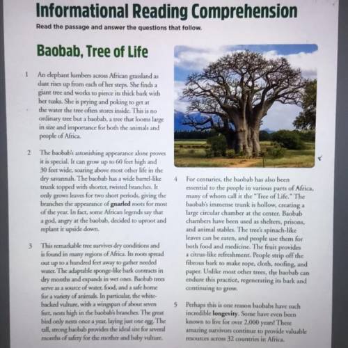 5. In paragraph 2, how does the phrase

soaring above” help explain baobabs?
a. It emphasizes the