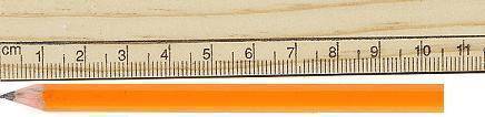 Colin wants to know the length of a pencil. He measures it with a metric ruler that is shown in the