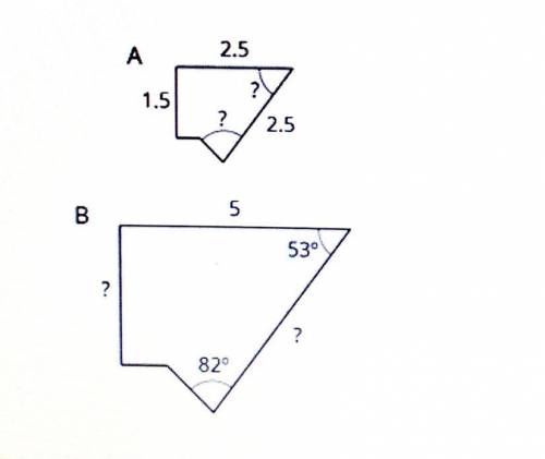 Help please! Correct answer gets brainlesst :)

The two polygons in the 
image are scaled copies.