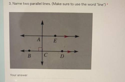 :((!!! Pls help and explain 15points

Name two parallel lines. (Make sure to use the word line)