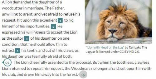 The lion’s claws and teeth are an essential part of his identity. Do you think it was right for the