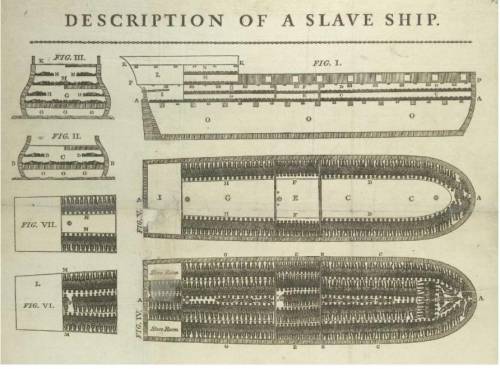 In what way does this diagram show the inhumanity of the slave trade?