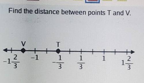 Find the distance between points T and V​