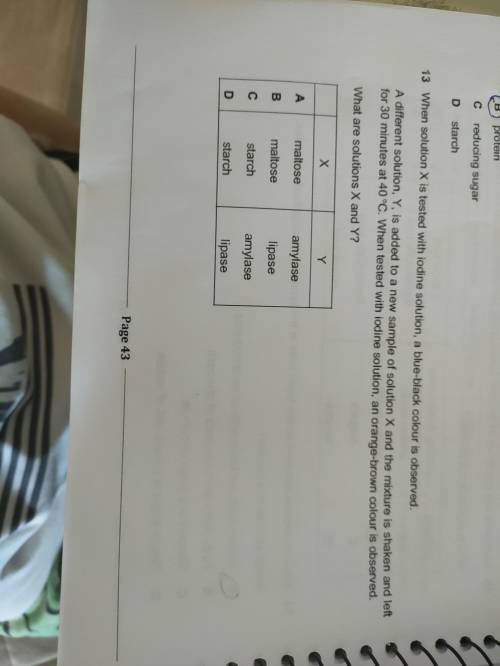 I need help ASAP Plz
The only 2 questions