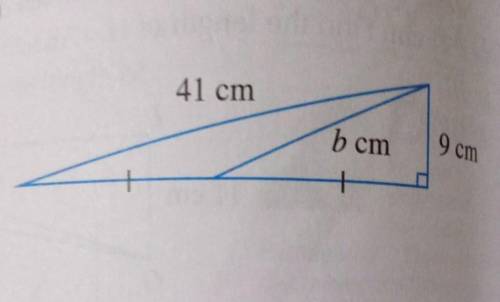 25 marks. please help Pythagoras theorem. please help... ​