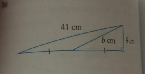 . 25 points .please help Pythagoras theorem.​