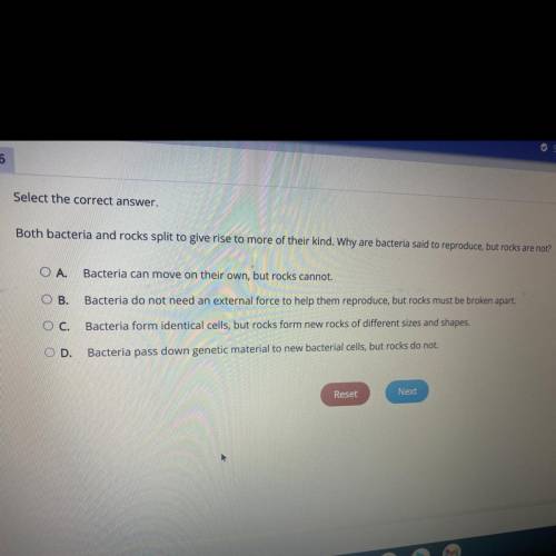 Im stuck on this question. please help me find the question for this quiz, thank you.