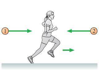 Anna is running to the right, as shown in (Figure 1). Balls 1 and 2 are thrown toward her by friend