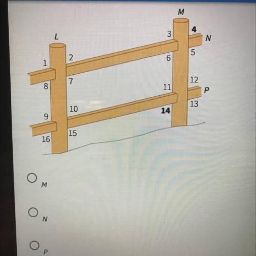 4. A fence on a hill uses vertical posts L and M to hold parallel rails N and P. <4 and <14 a