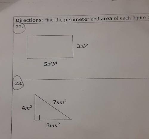 Help PlzFind The Perimeter Of The Circled Questions​