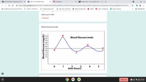 Analyze the graph above displaying blood glucose levels over the span of 5 hours. What kind of feed