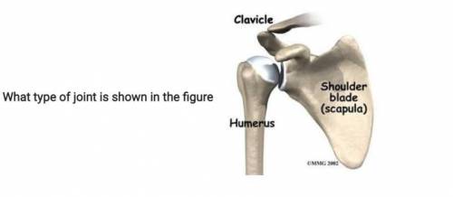 What type of joint is shown in the figure
