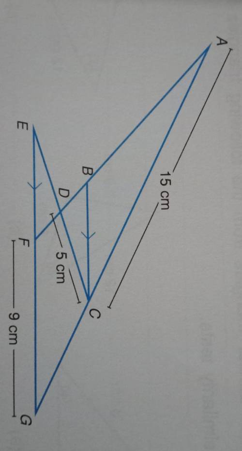 In the diagram, ∆ABC ≈∆ECG,BC is parallel to EG, AC=EG=15cm,BC=CG,CD=5cm and FG=9cm.

1)show that
