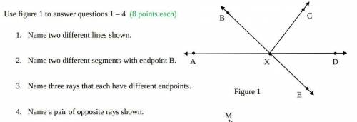 1. Name two different lines shown.

2. Name two different segments with endpoint B.3. Name three r