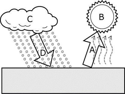 In the diagram, which letter represents evaporation?
A
B
C
D