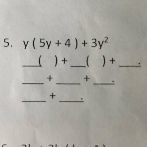 5. y( 5y + 4) + 3y?
( ) + ( )+ -
+
+
+