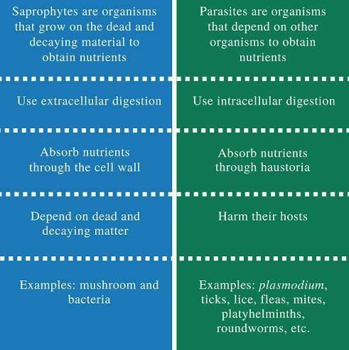 Difference between saprophytes and parasites​