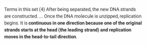 After being separated, the new DNA strands are constructed. Why is one strand continuous and the oth
