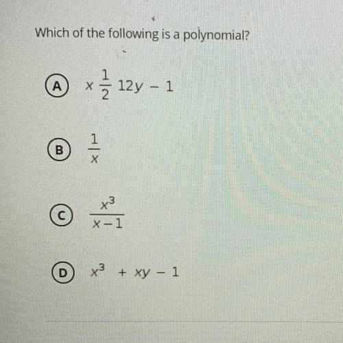 Which of the following is a polynomial?

(Α)
xz
12y - 1
1
B
x3
С
x-1
D
x3 + xy - 1