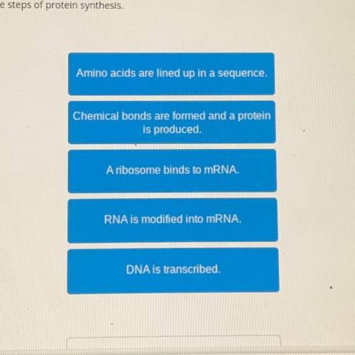 Order the steps of protein synthesis.
