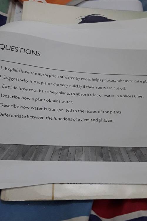 Can anyone help me withe these questions​