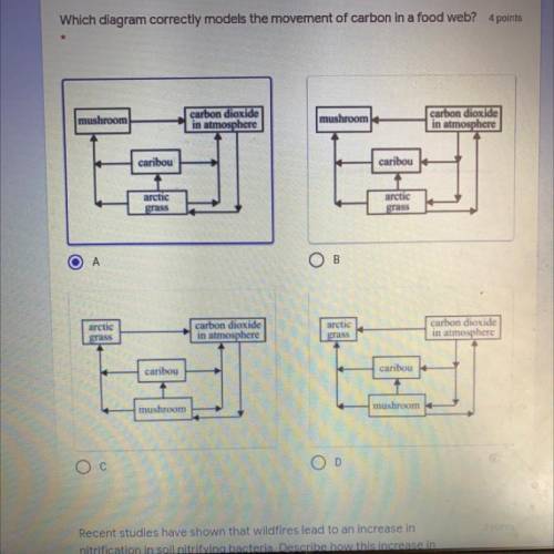 Which diagram correctly models the movement of carbon in a food web? 4 points

mushroom
carbon dio