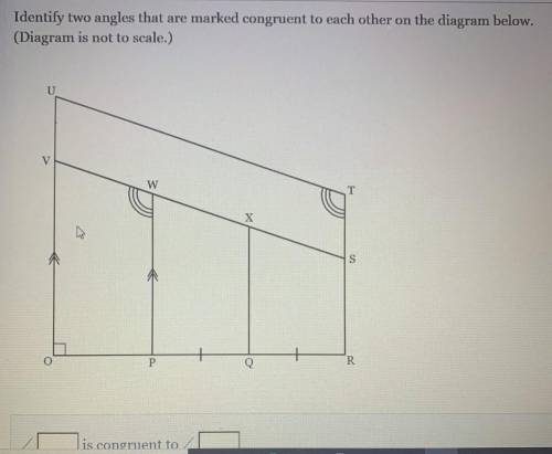 Identify two angles that are marked congruent to each other on the diagram below.

(Diagram is not