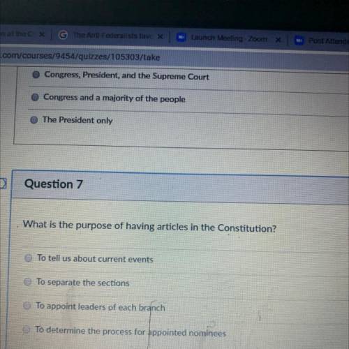 What is the purpose of having articles in the constitution!

1.) to tell us about current events
2