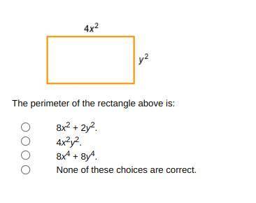 The perimeter of the rectangle above is: